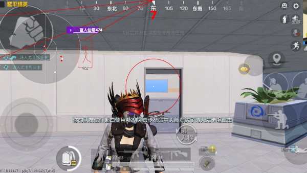 和平精英DDYS辅助